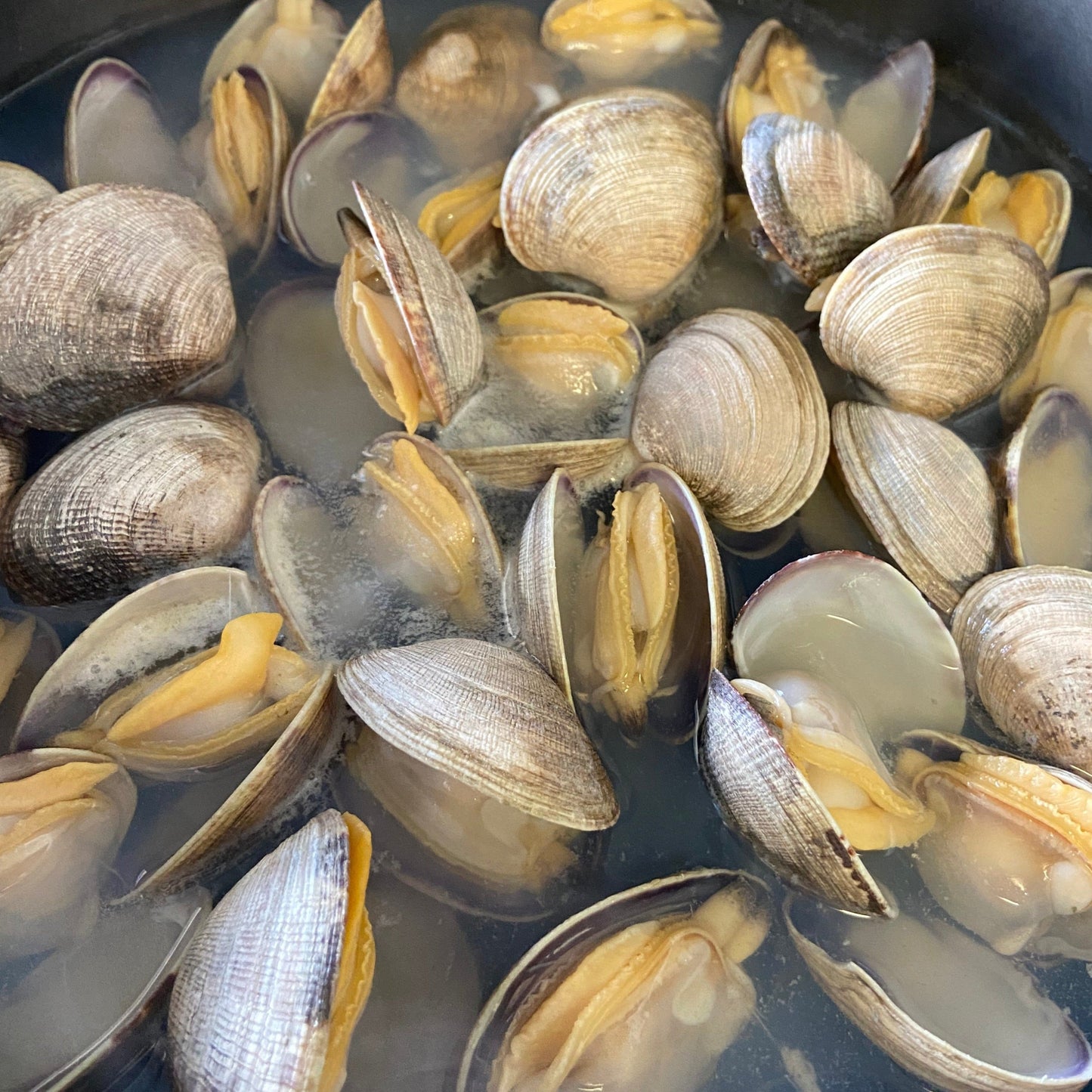 Clams