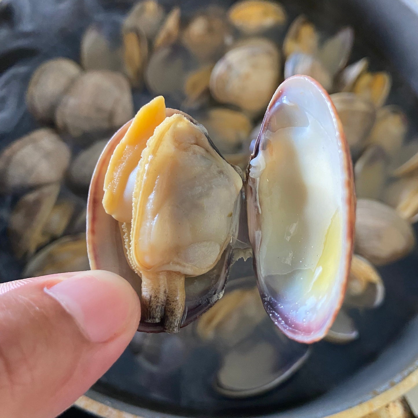 Clams