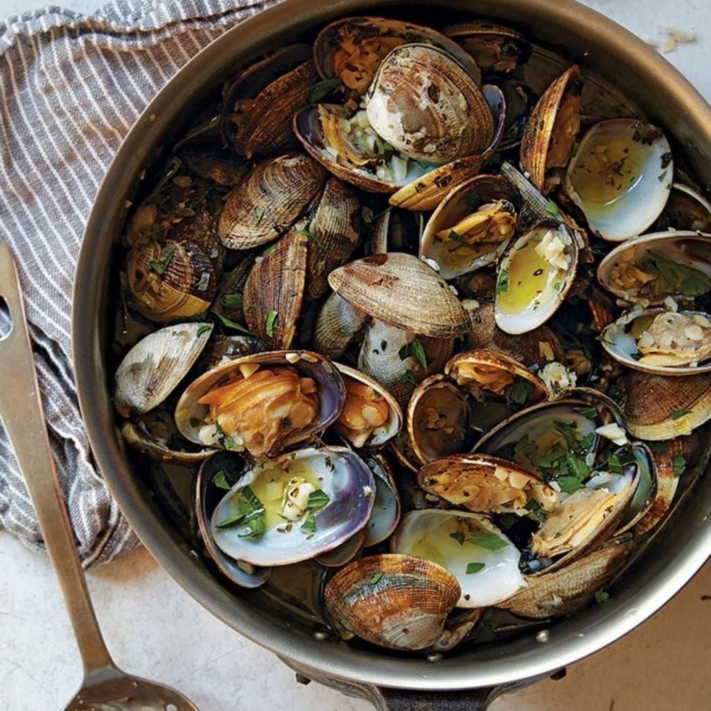 Clams