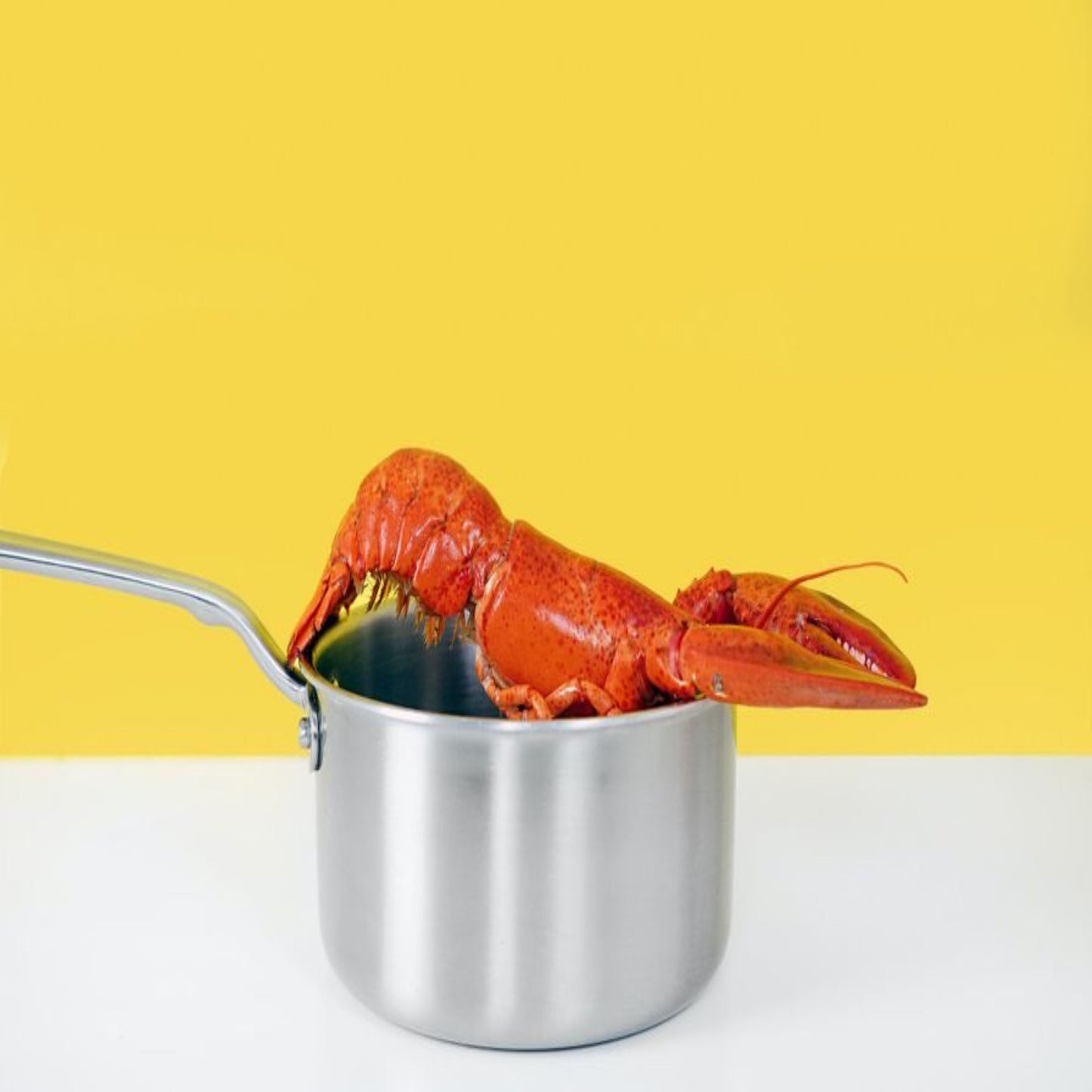 Lobster